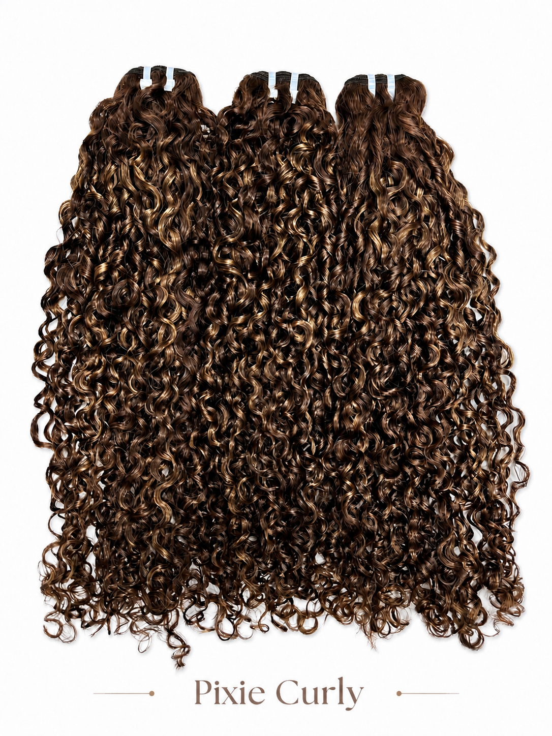 Golden Truffle Balayage