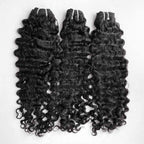 Burmese Curly