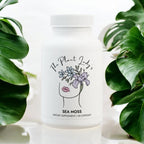 Sea Moss Supplement (60 Capsules)