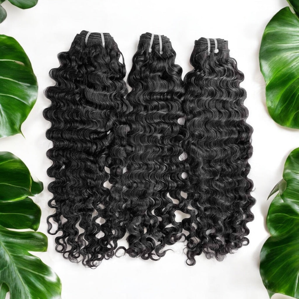 Burmese Curly