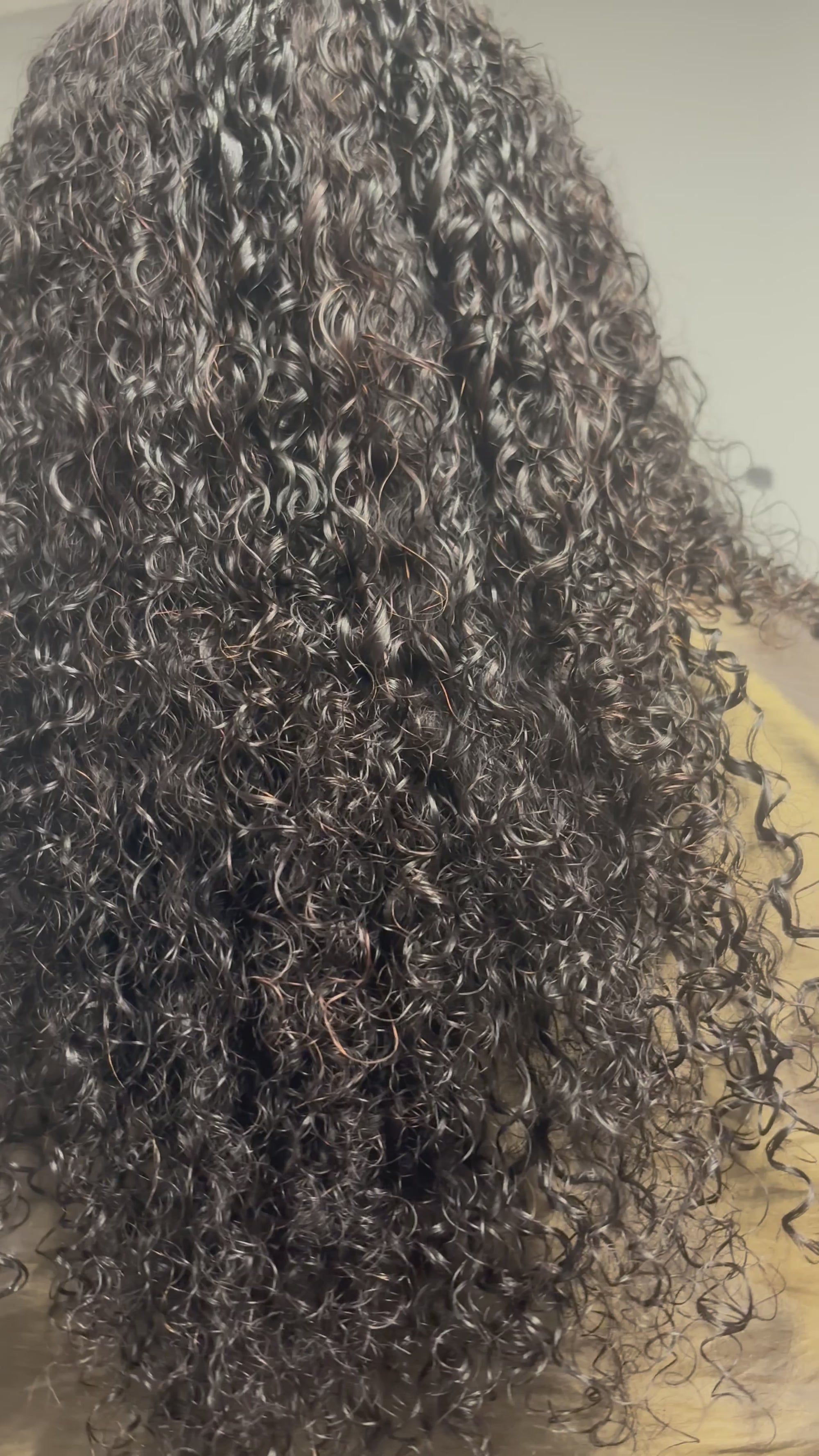 Burmese Curly