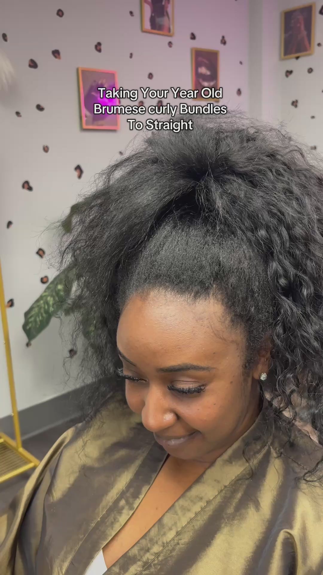 Burmese Curly