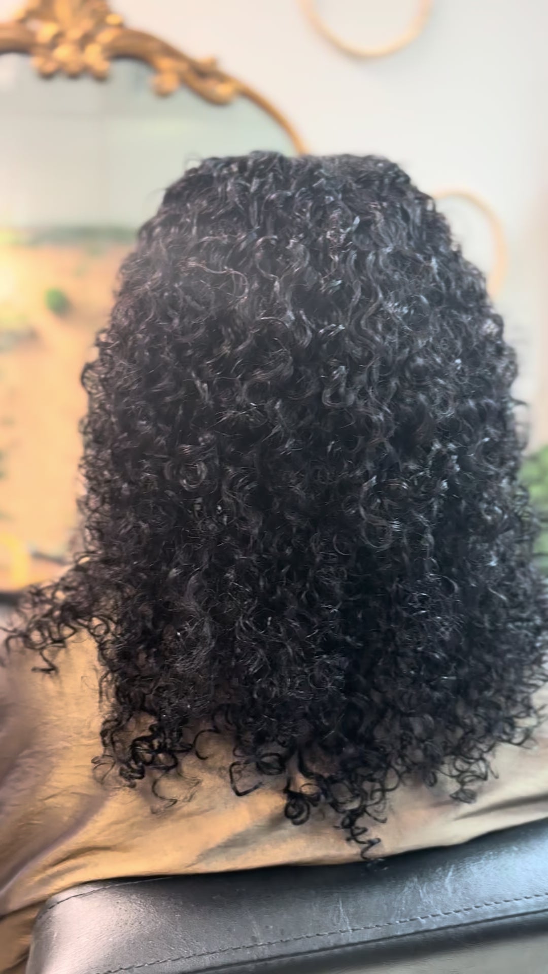 Burmese Curly